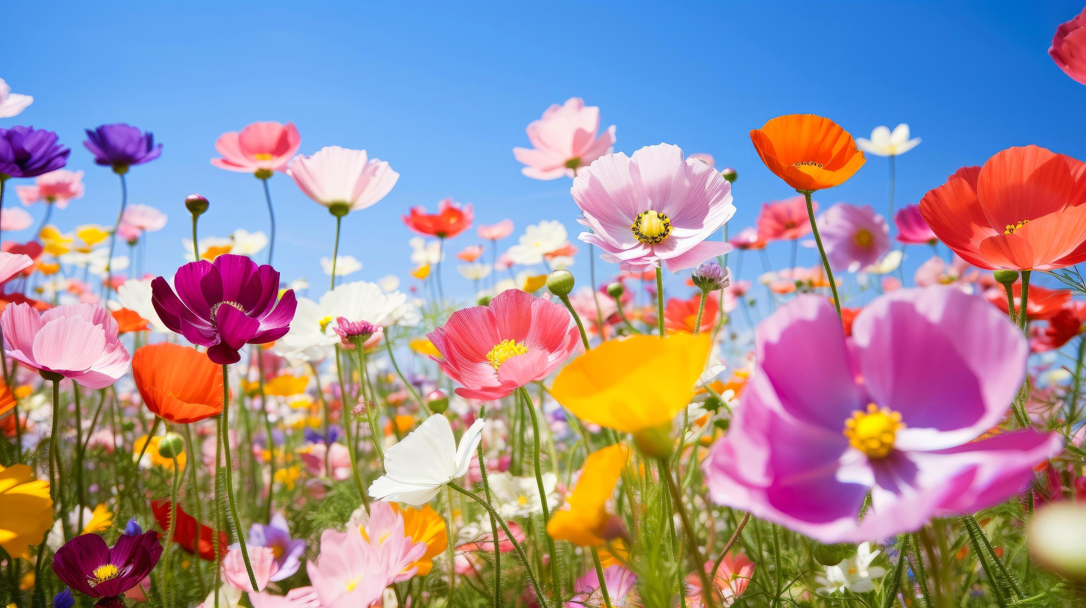 Floral
